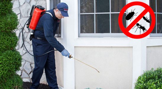 Vakfıkebir Kemirgen İlaçlama böcek ilaçlama ve haşere kontrolü — ilaclama-tr.com